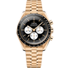 Speedmaster Moonwatch Professional